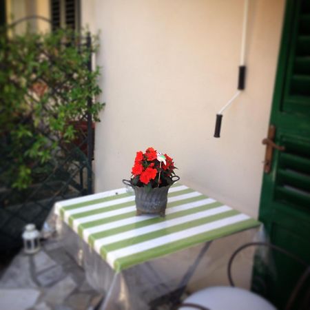 مبيت وإفطار سيستو فيورنتينو Terrazza Ginori الغرفة الصورة